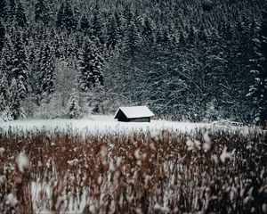 Preview wallpaper house, forest, snow, edge, winter