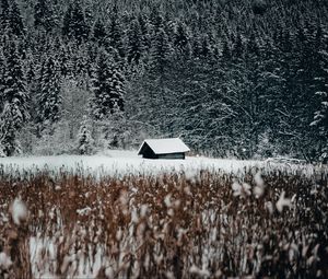Preview wallpaper house, forest, snow, edge, winter