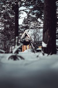 Preview wallpaper house, forest, snow, winter