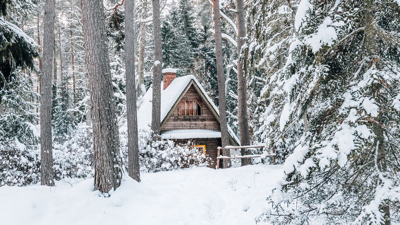 Wallpaper house, forest, snow, nature, winter