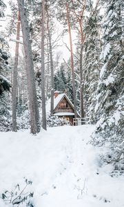 Preview wallpaper house, forest, snow, nature, winter