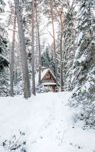 Preview wallpaper house, forest, snow, nature, winter