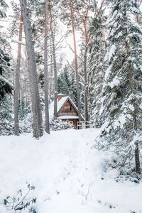 Preview wallpaper house, forest, snow, nature, winter