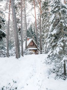 Preview wallpaper house, forest, snow, nature, winter