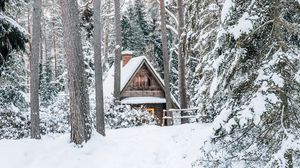 Preview wallpaper house, forest, snow, nature, winter