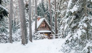 Preview wallpaper house, forest, snow, nature, winter