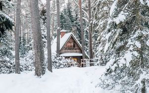 Preview wallpaper house, forest, snow, nature, winter