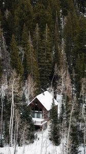 Preview wallpaper house, forest, snow, aerial view, solitude