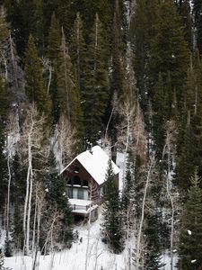Preview wallpaper house, forest, snow, aerial view, solitude