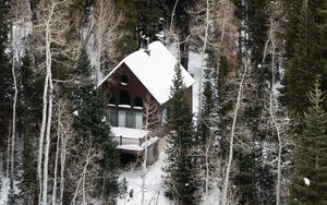 Preview wallpaper house, forest, snow, aerial view, solitude
