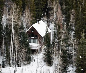 Preview wallpaper house, forest, snow, aerial view, solitude