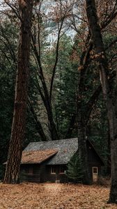 Preview wallpaper house, forest, solitude, woodland, autumn, trees