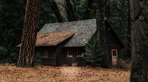 Preview wallpaper house, forest, solitude, woodland, autumn, trees