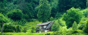 Preview wallpaper house, forest, summer, grass, solitude