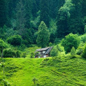 Preview wallpaper house, forest, summer, grass, solitude