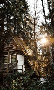 Preview wallpaper house, forest, sunlight, trees, glare, nature
