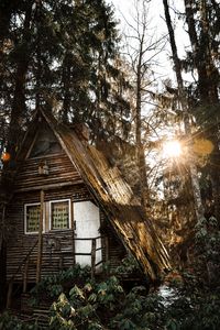 Preview wallpaper house, forest, sunlight, trees, glare, nature