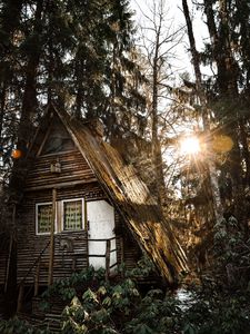 Preview wallpaper house, forest, sunlight, trees, glare, nature