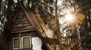 Preview wallpaper house, forest, sunlight, trees, glare, nature