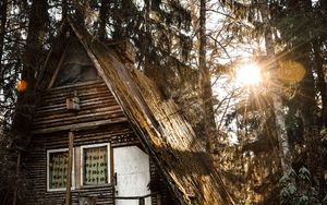 Preview wallpaper house, forest, sunlight, trees, glare, nature