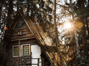 Preview wallpaper house, forest, sunlight, trees, glare, nature