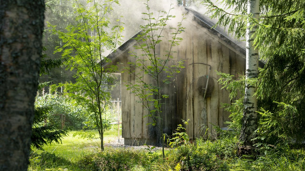 Wallpaper house, forest, trees, nature, smoke