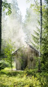 Preview wallpaper house, forest, trees, nature, smoke