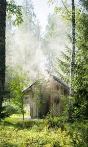 Preview wallpaper house, forest, trees, nature, smoke