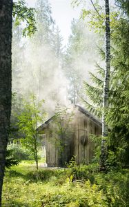 Preview wallpaper house, forest, trees, nature, smoke
