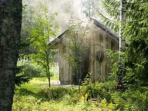 Preview wallpaper house, forest, trees, nature, smoke