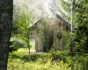 Preview wallpaper house, forest, trees, nature, smoke