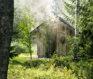 Preview wallpaper house, forest, trees, nature, smoke