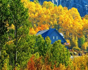 Preview wallpaper house, forest, trees, autumn, landscape, mountains