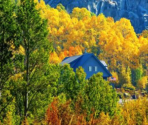 Preview wallpaper house, forest, trees, autumn, landscape, mountains