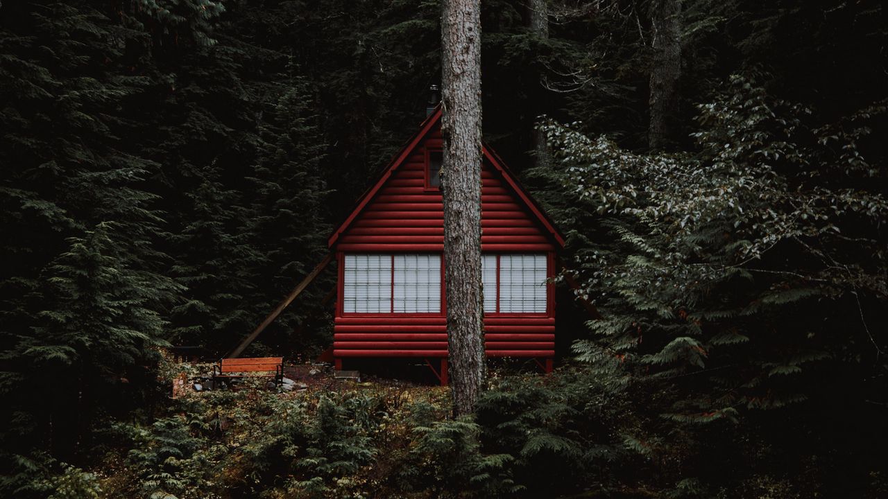 Wallpaper house, forest, trees, building, nature