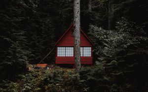 Preview wallpaper house, forest, trees, building, nature