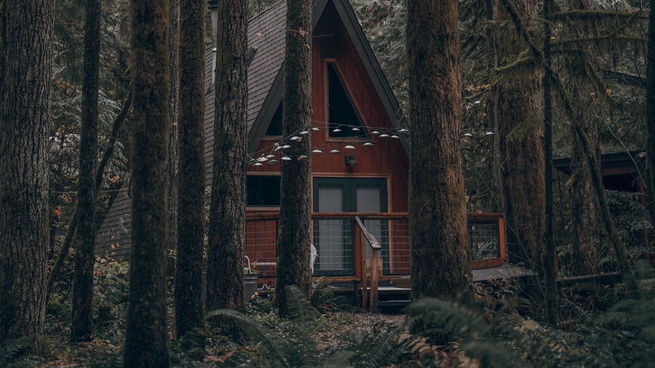 Wallpaper house, forest, trees, nature, building