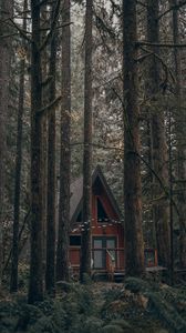 Preview wallpaper house, forest, trees, nature, building