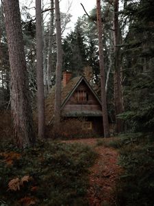 Preview wallpaper house, forest, trees, nature, solitude