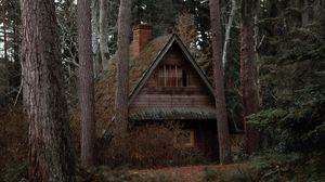 Preview wallpaper house, forest, trees, nature, solitude