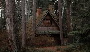 Preview wallpaper house, forest, trees, nature, solitude