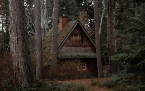 Preview wallpaper house, forest, trees, nature, solitude