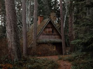 Preview wallpaper house, forest, trees, nature, solitude