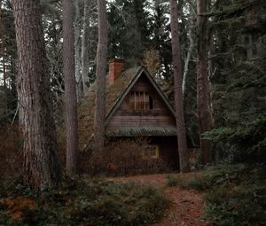 Preview wallpaper house, forest, trees, nature, solitude