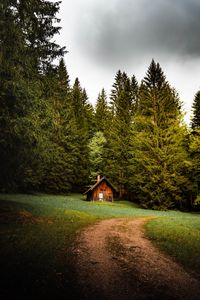 Preview wallpaper house, forest, trees, path, nature