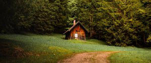 Preview wallpaper house, forest, trees, path, nature