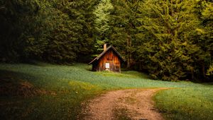 Preview wallpaper house, forest, trees, path, nature