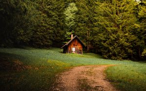 Preview wallpaper house, forest, trees, path, nature