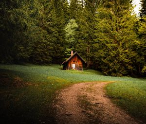 Preview wallpaper house, forest, trees, path, nature