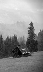 Preview wallpaper house, forest, trees, fog, nature, black and white